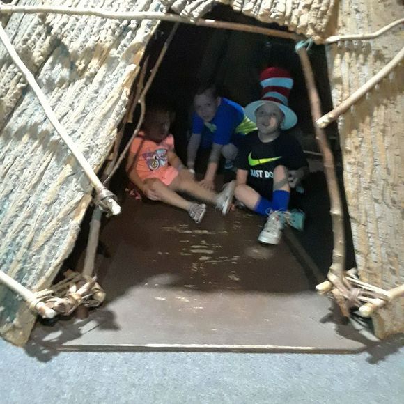 Meet your Posher, Crystal - Picture 1 of 1